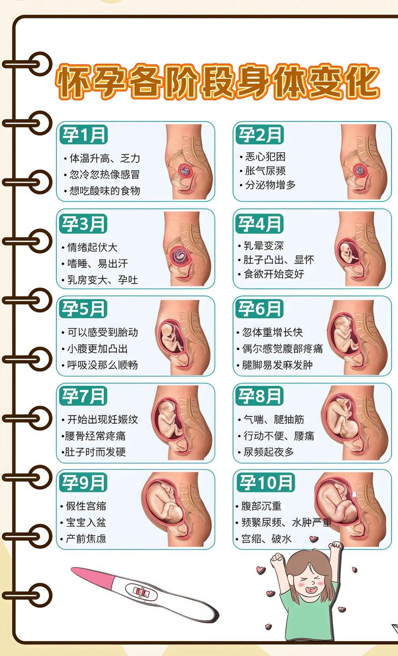 揭秘供卵代孕妈妈怀孕小腹分两节，孕期变化的奥秘克孜勒苏柯尔克孜代生机构: