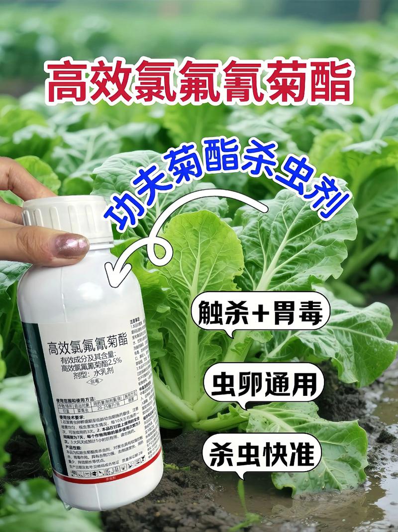 克孜勒苏柯尔克孜代生中心:农药对供卵代生妈妈的危害